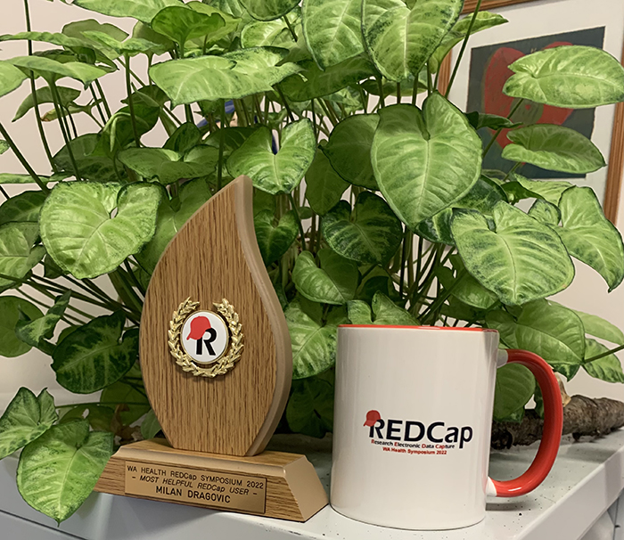 REDCap Award