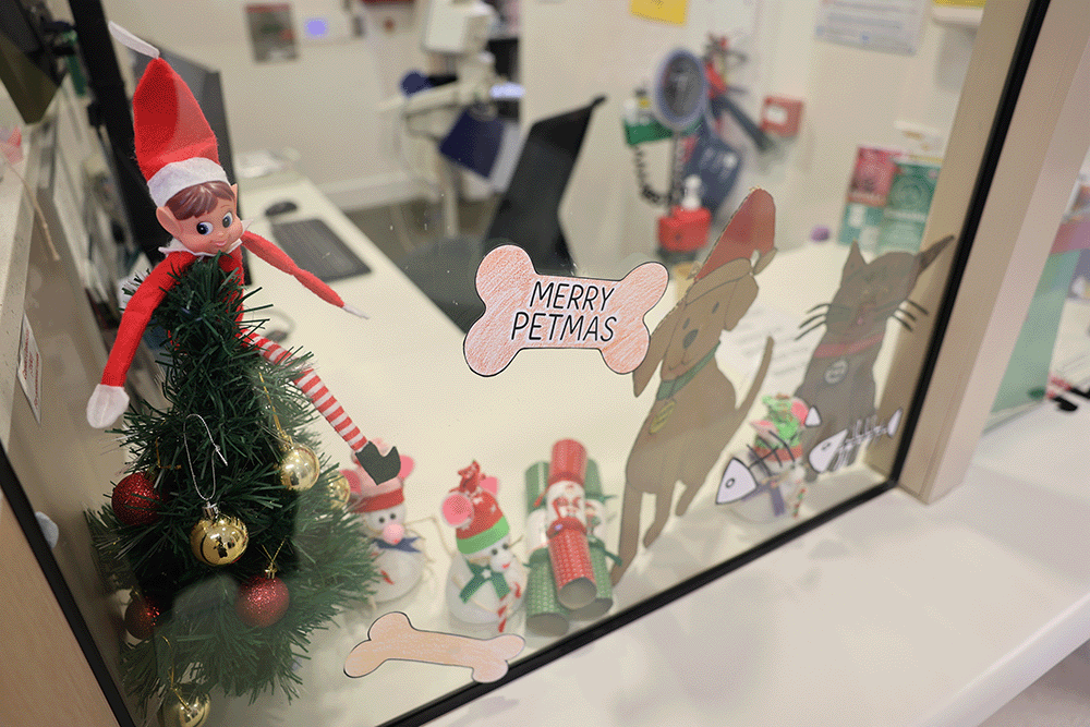 Deck the Wards competition 2025