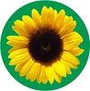 Sunflower logo